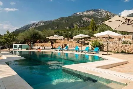 Vakantiehuis Needa's - New Hope Poolside *