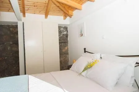 Needa's - New Hope Poolside