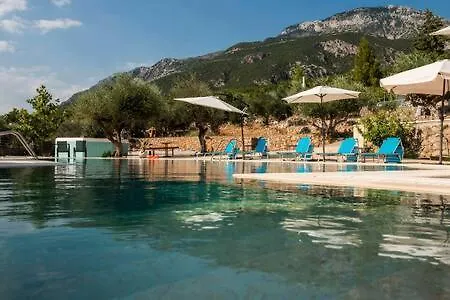 Needa's - New Hope Poolside * Mikrá Mandínia