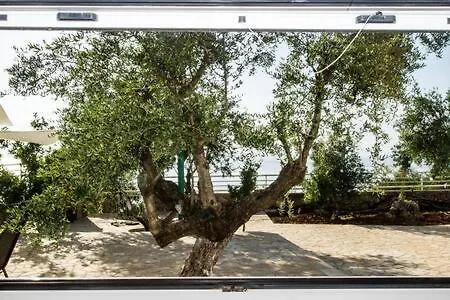 Needa's - New Hope Poolside *