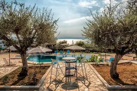 Ferienhaus Needa's - New Hope Poolside