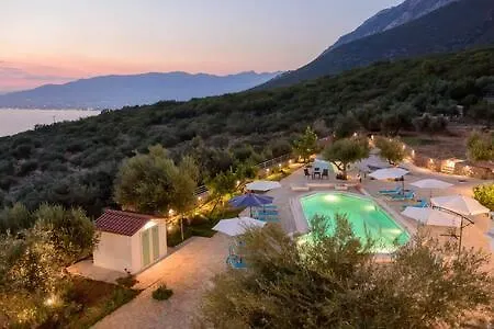 Needa's - New Hope Poolside